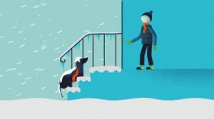 Pet Safety Preparedness Image 012